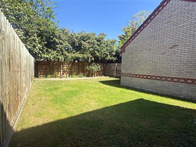 Picture 13